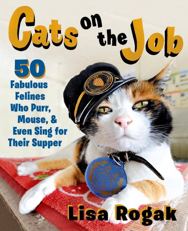 Microcosm Publishing & Distribution - Wholesale Pets - Cats on the Job0