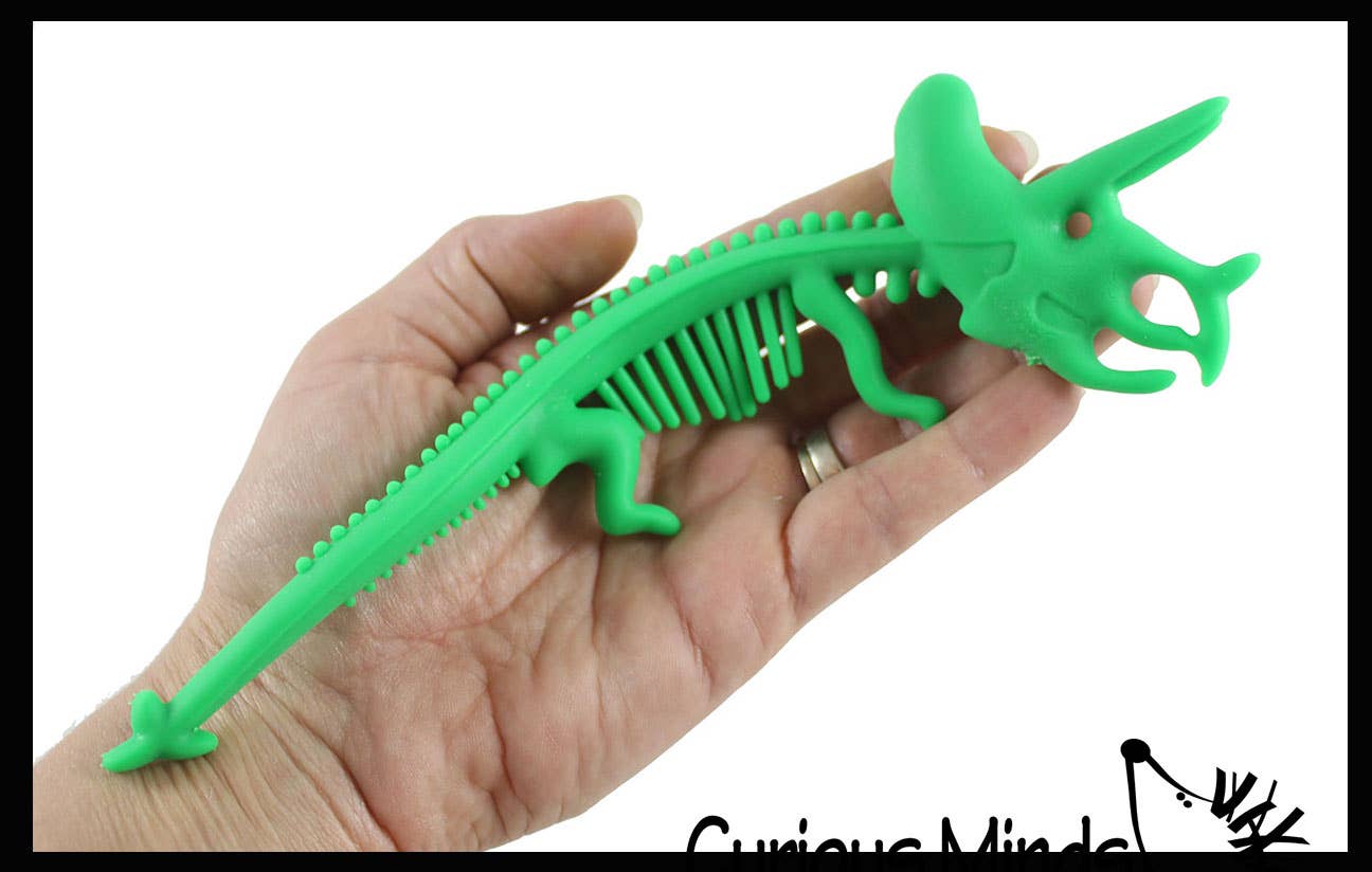 Curious Minds Toys – Großhandel Fidget Toy – Kinder – 1 x dehnbares Nudelband mit Dinosaurierskelett und fossilem Knochen5