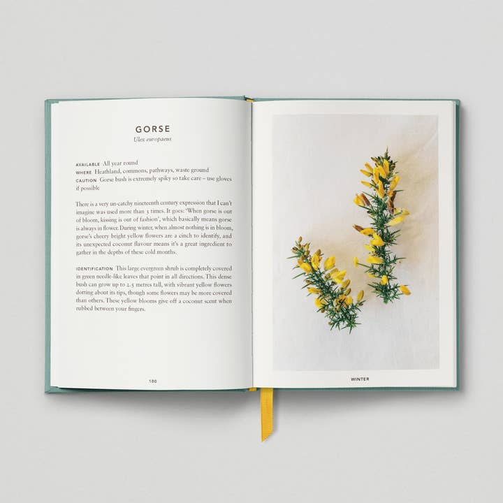 Hoxton Mini Press – wholesale Cookbooks and food – The Urban Forager9
