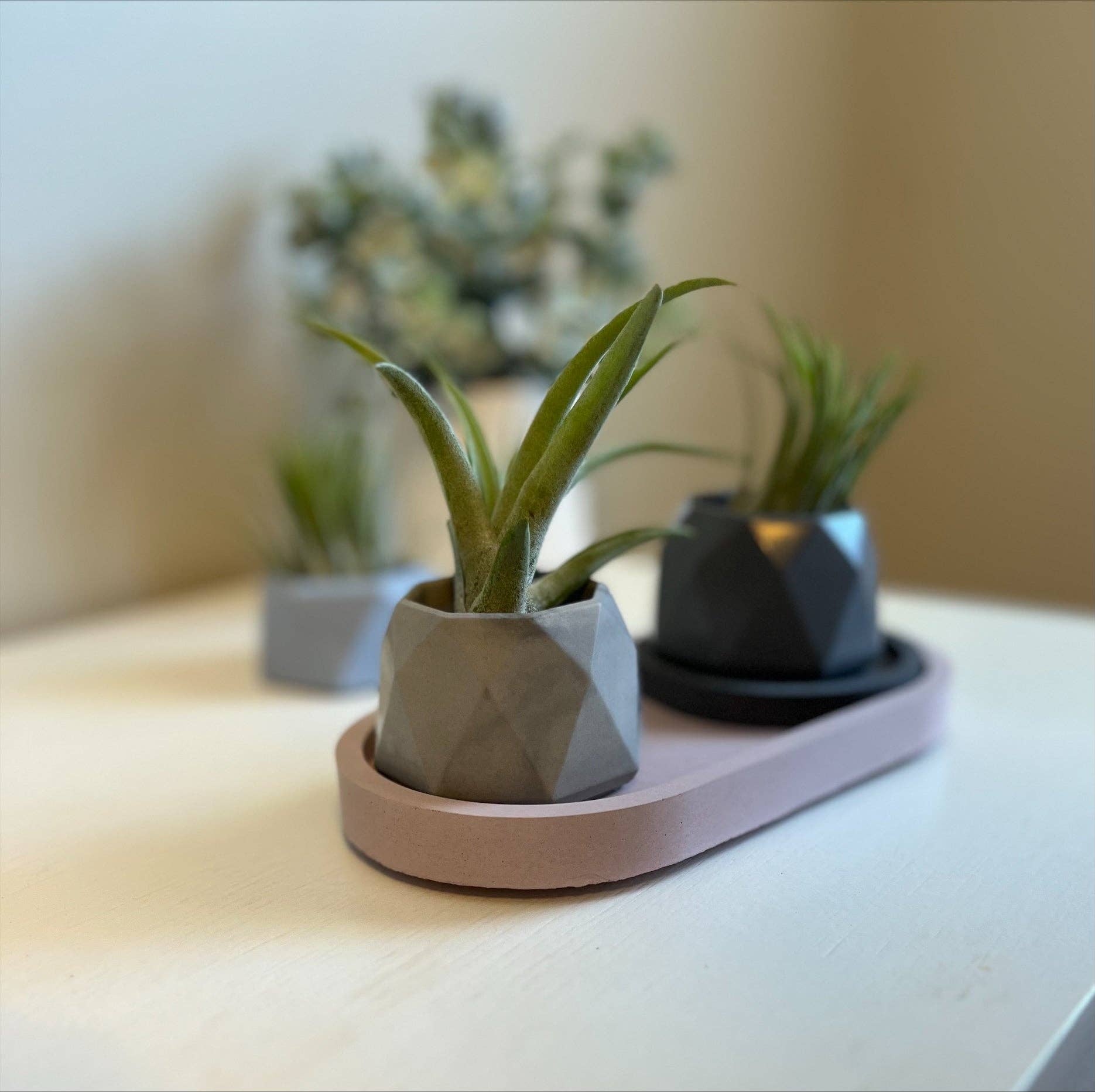 Joyful Lotus – wholesale Plant pot – Geometric concrete vessel