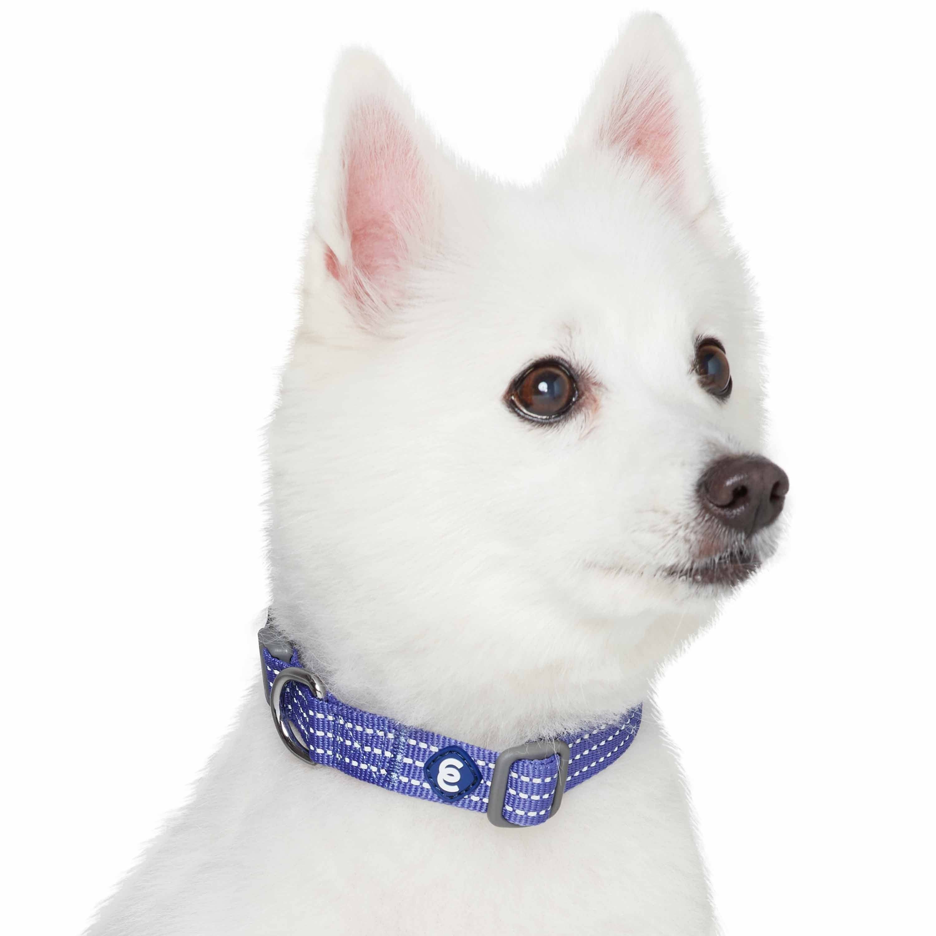 Blueberry Pet - Venta al por mayor Collar - Perros - Collar reflectante para perros Better Basic en 8 colores44