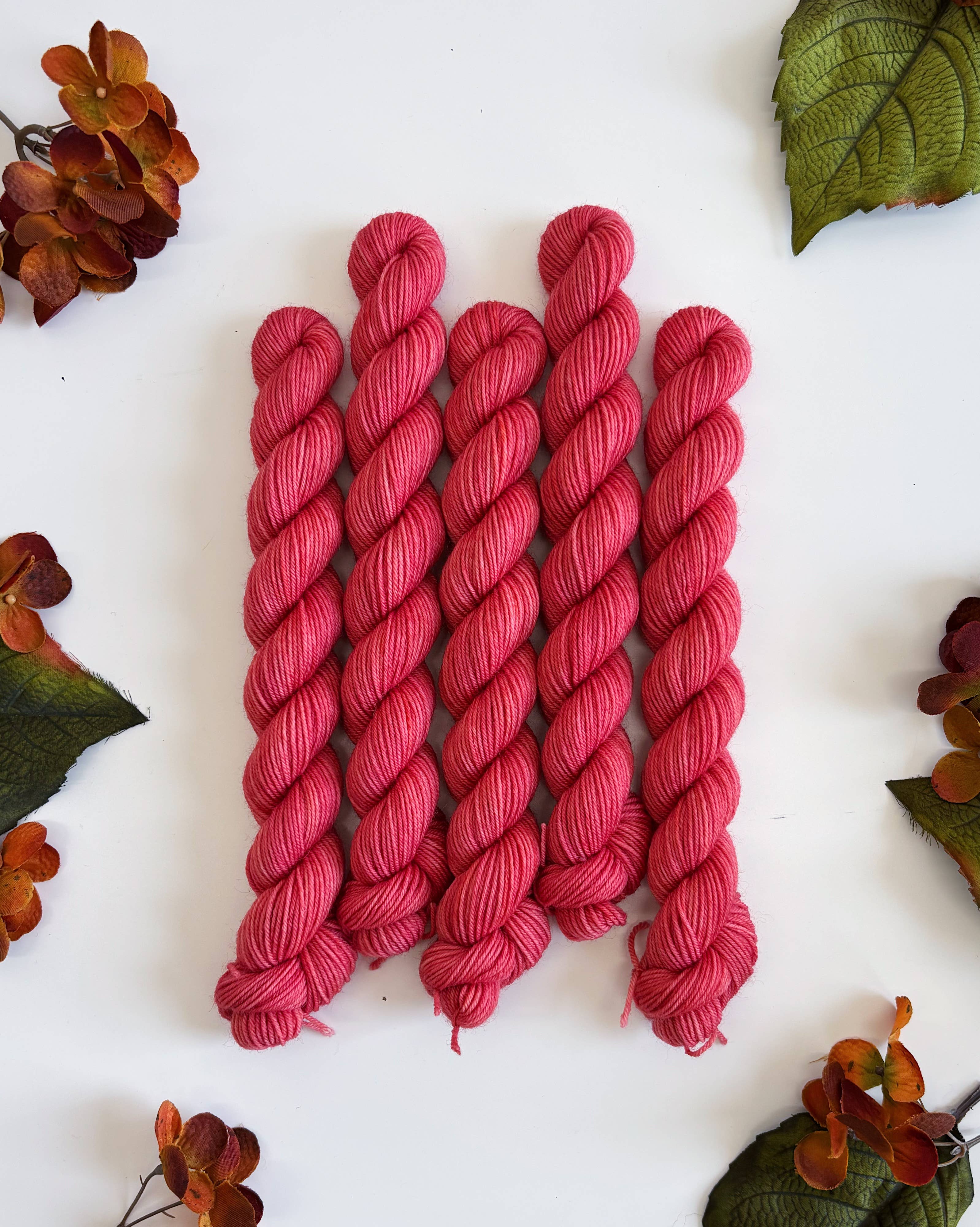 Coates & Co. - Vendita all'ingrosso Lana - Filato Cottage Sock • Mini matassina da 20 g2