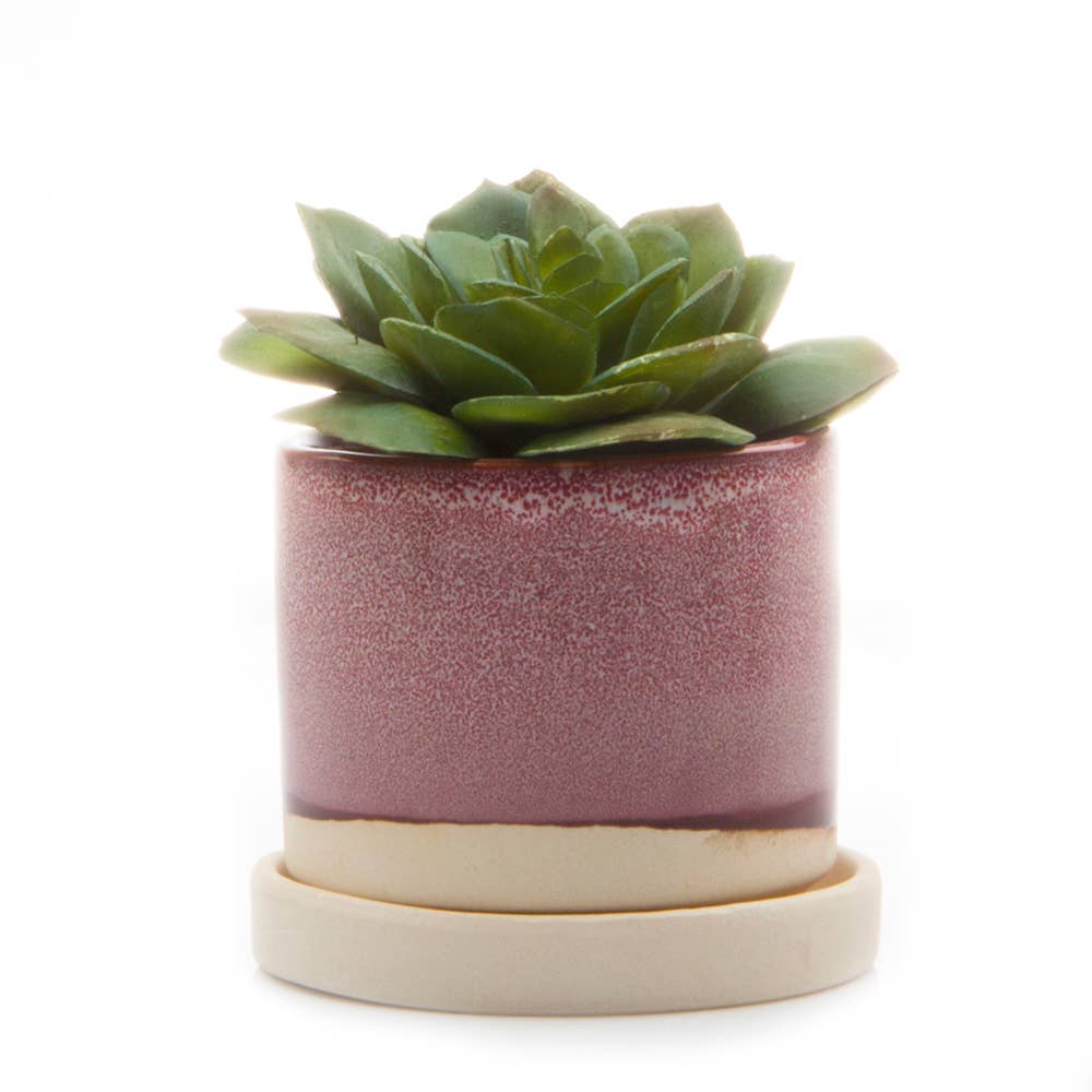 Chive - Wholesale Plant Pot - Minute Handmade Ceramic Planter Indoors Pot With Saucer11