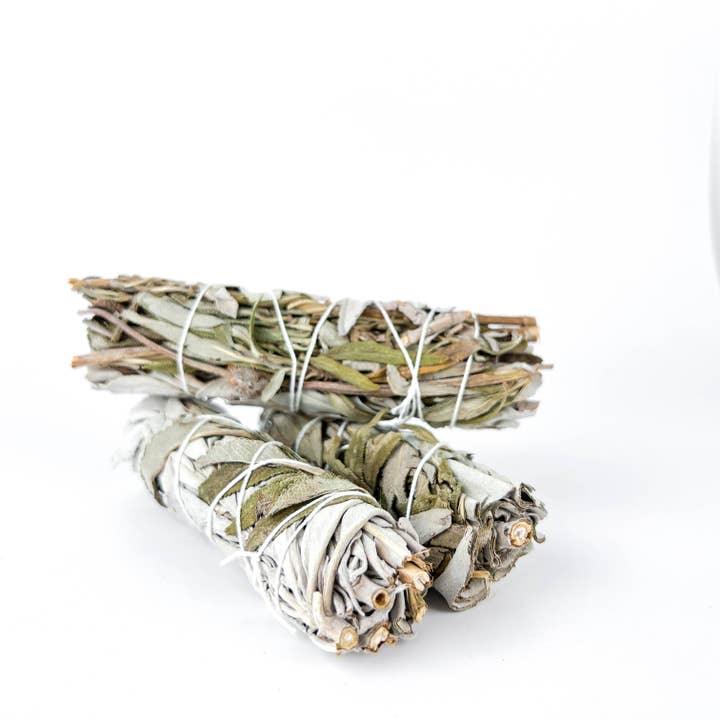 Branco Sálvia & California Preto Lavanda 4" por atacado de GREENROOTS USA LLC