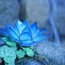 Om Gallery - Wholesale Candle Holder - Cool Water Paradise Lotus Tea Light Candle Holder1