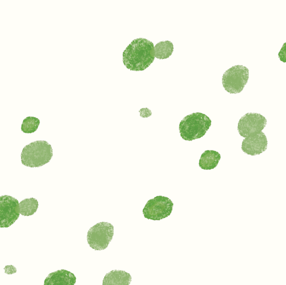 Roots and Craft Tea Roasters - Wholesale Gezondheid/Detox thee - Matcha Saemidori Groene Thee Poeder1