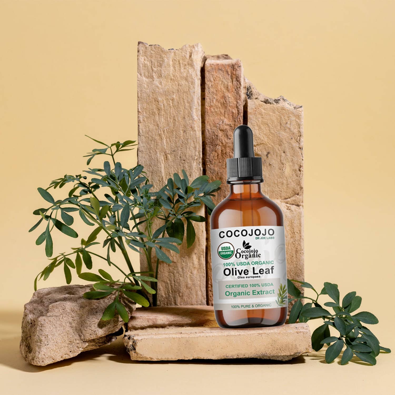 Coco jojo - Vente Supplément oral/vitamine - Extrait de feuille d’olivier – Certifié USDA biologique5