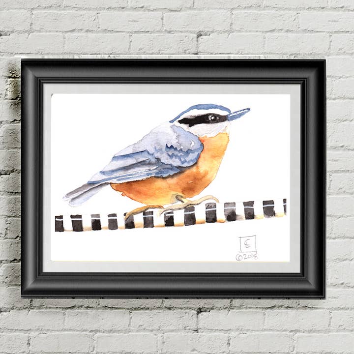 1201. Nuthatch Print for wholesale by Dancing Raven Designs