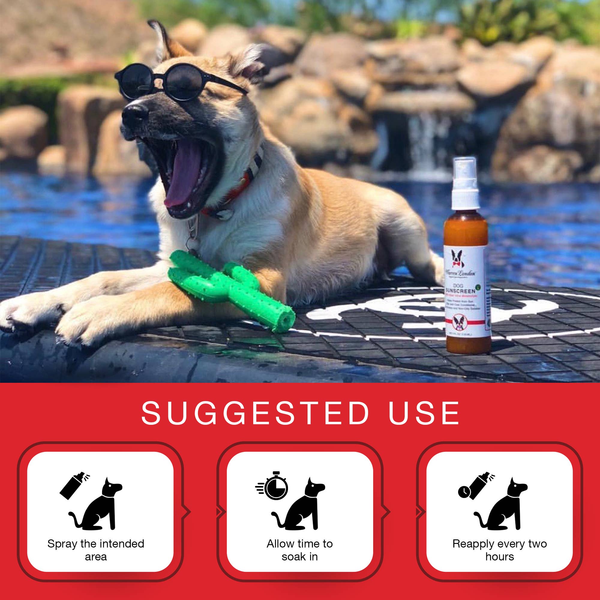 Warren London Dog Products - Wholesale Pet spray – Dog - Dog Sunscreen - 4 oz2