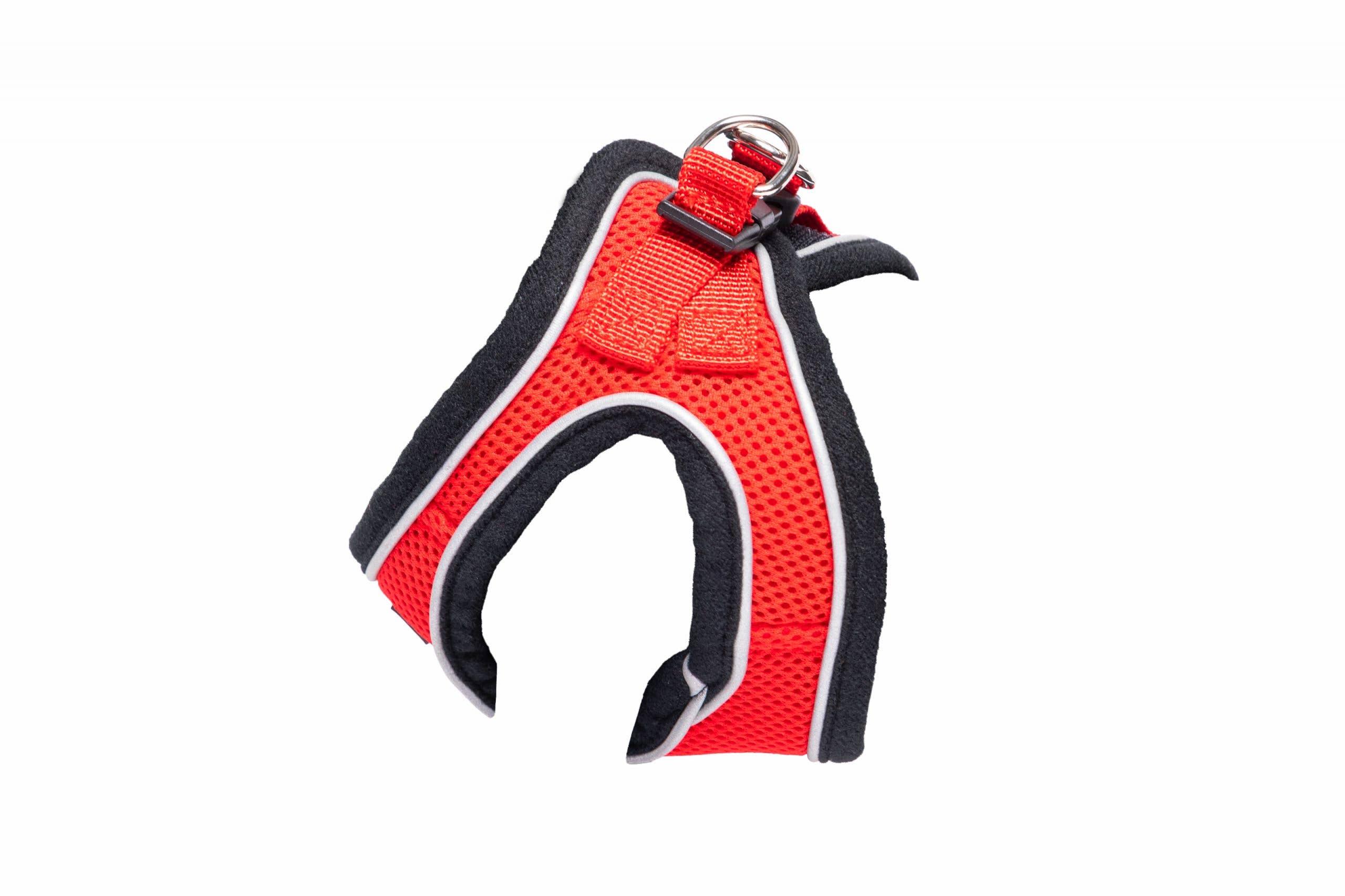 Border and Charle's - Wholesale Pet Harness - Dog - Nina's harness and leash1