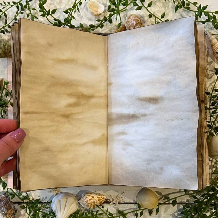 NOMAD Moon Magic - Vendita all'ingrosso Diari/agende - Diario estetico vintage fatto a mano, design Sand Dollar4