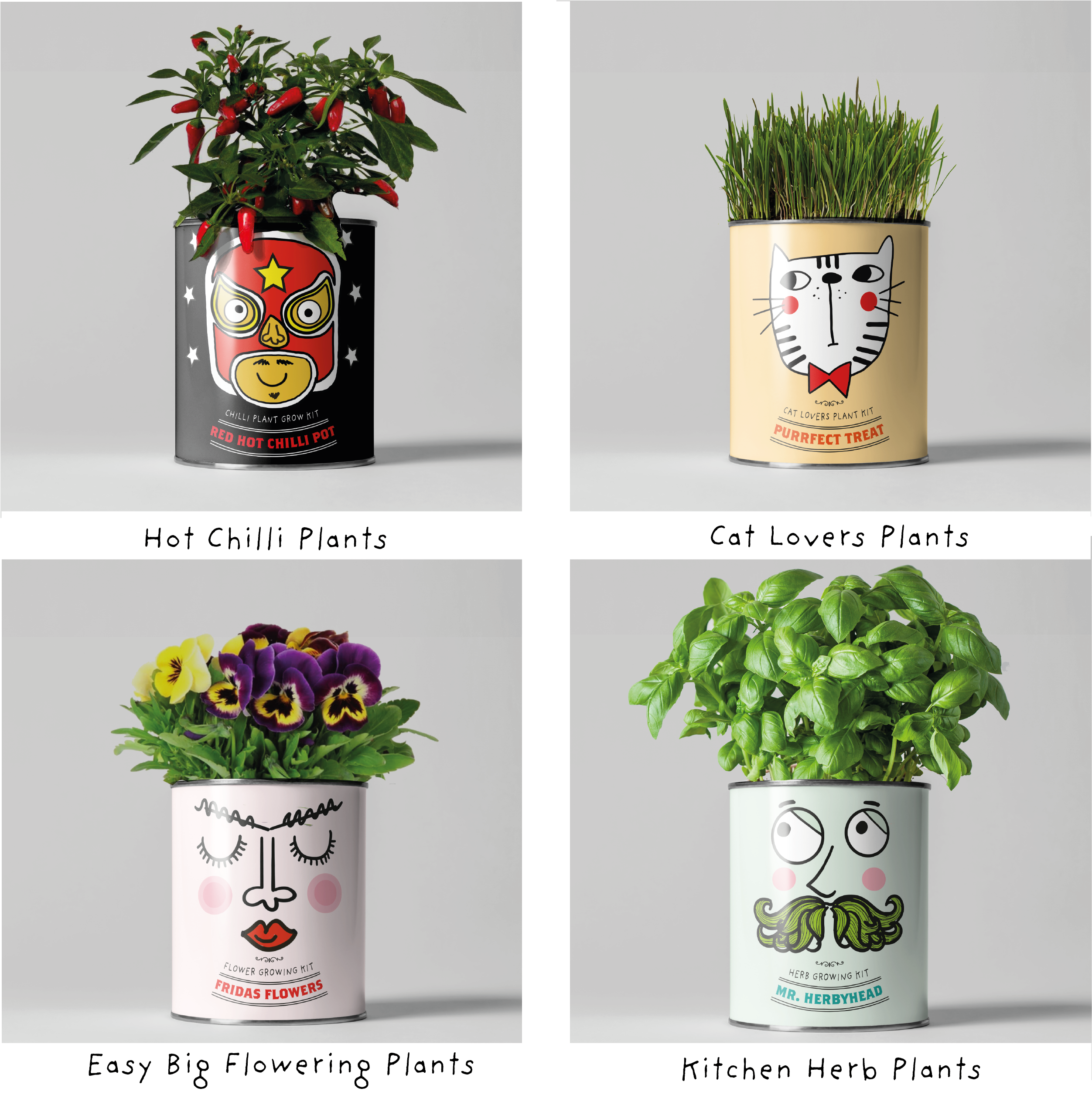 The Plant Gift Co. - Wholesale Plant Pot - Retailer starter 4 pack Chilli, Cat, Flower and Herb5