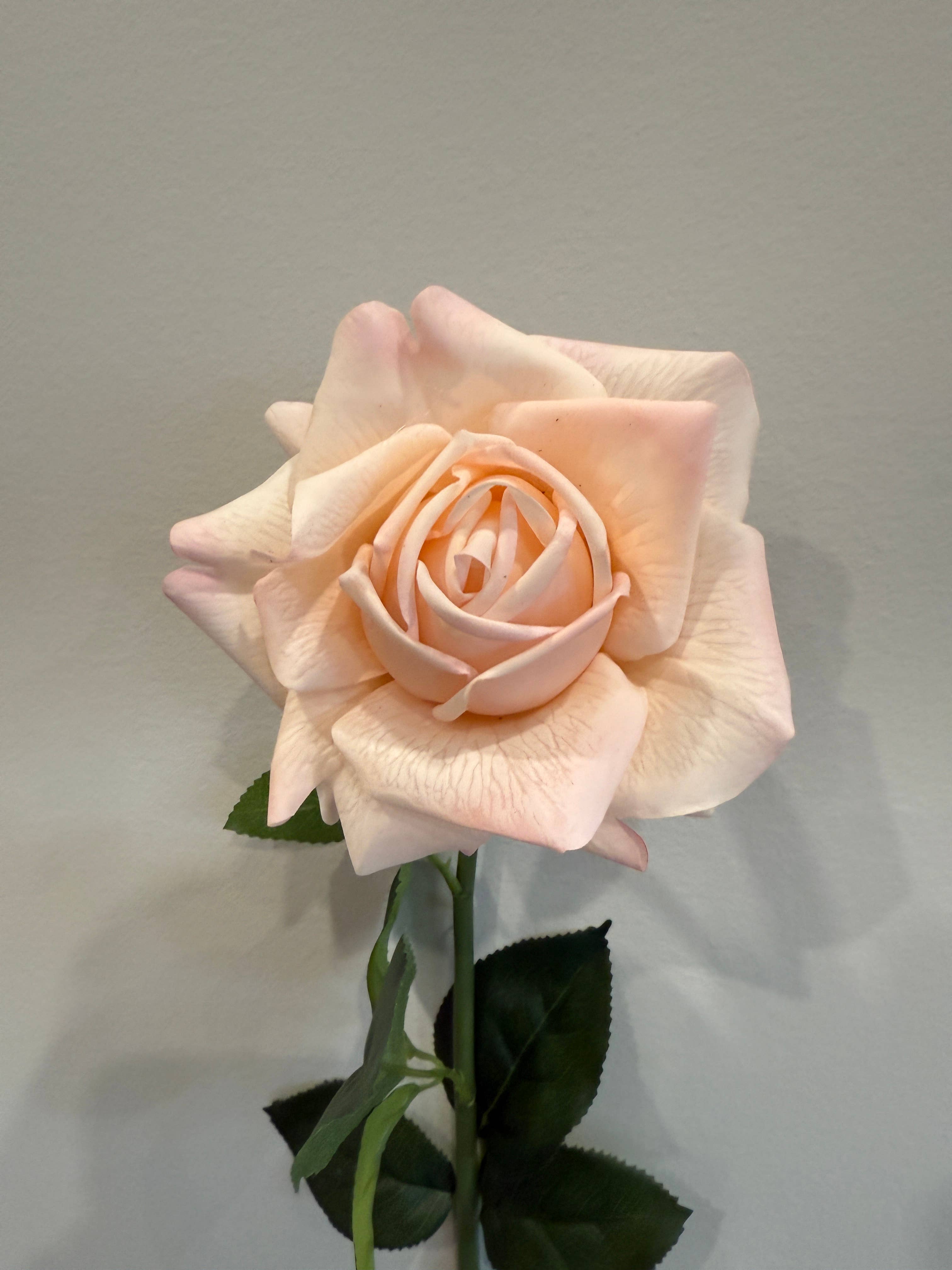 Pickadilly's - Wholesale Artificial Flowers - Real Touch Blush Rose