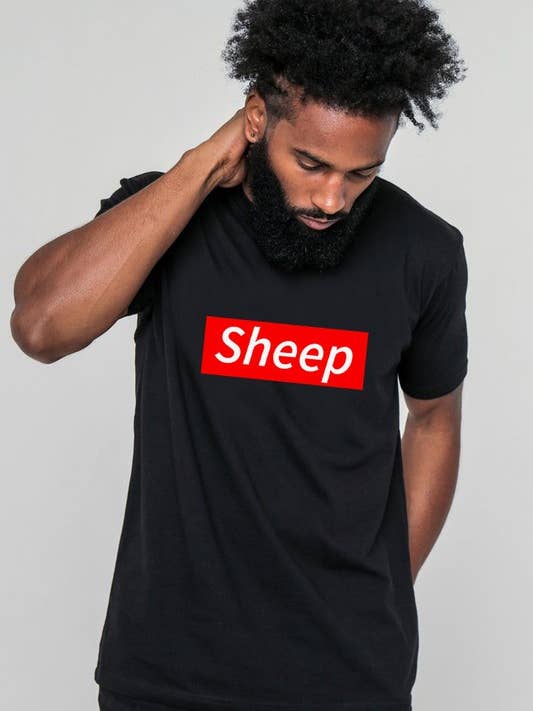 Sheep for wholesale by DOTCOM
