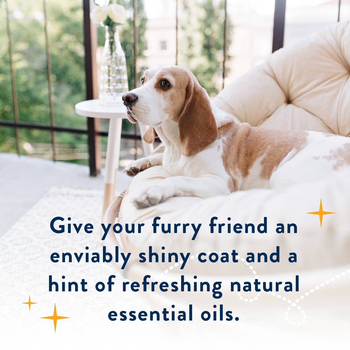 Rebel Green - Wholesale Pet Spray - Cat/Dog - Spritz, Sparkle & Shine Essential Oil Spray-Orange Chamomile2