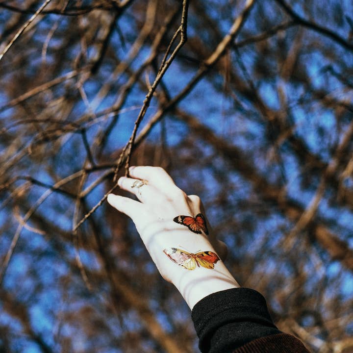 PAPERSELF – Tatuagem temporária por atacado – Adesivos de Tatuagem Temporária Borboletas3