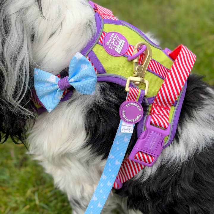 Pawsome Paws - Wholesale Pet Bow Tie - Dog - Disney© Bow Tie - Buzz Lightyear