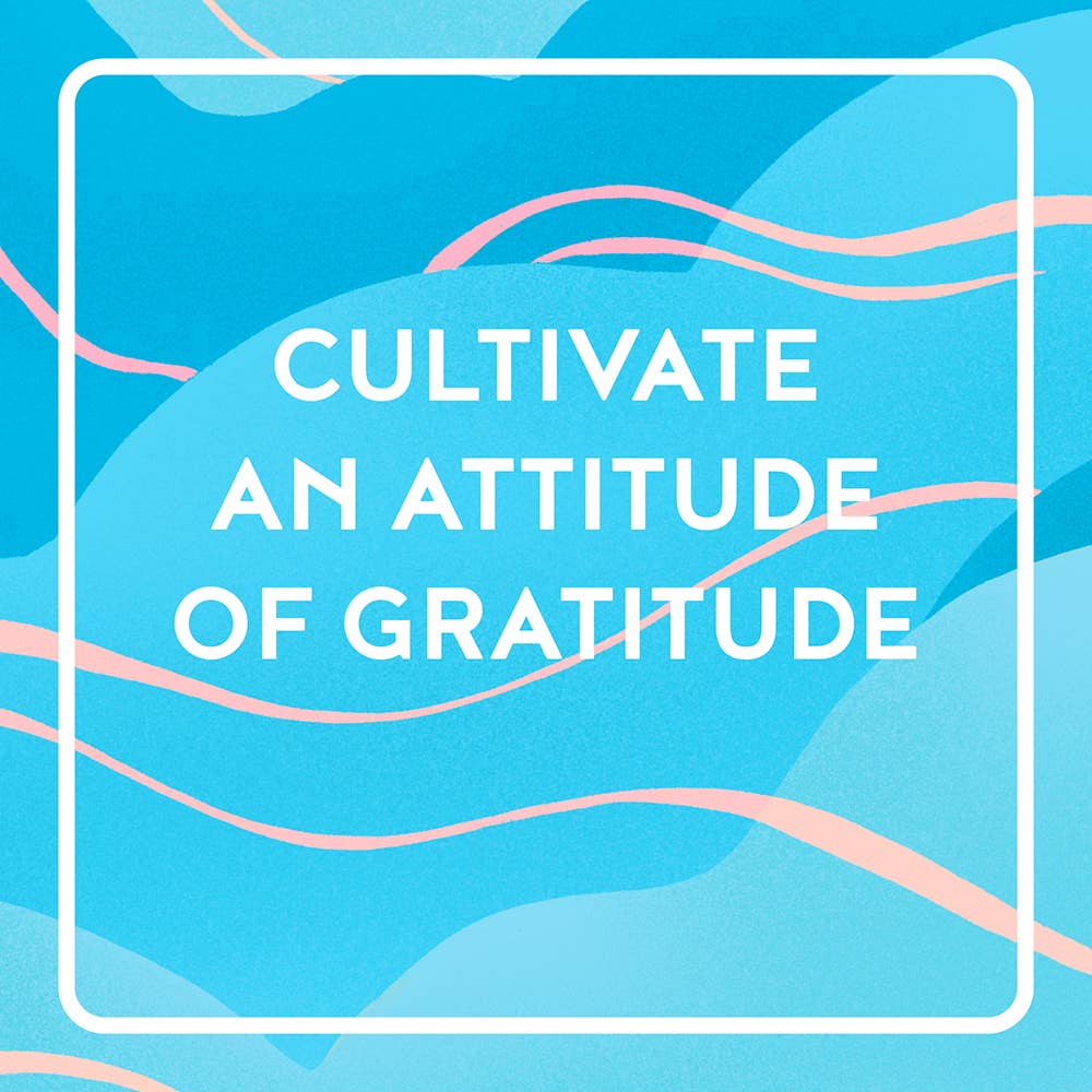 Chronicle Books - Wholesale Journal/Diary - Gratitude One Line a Day10