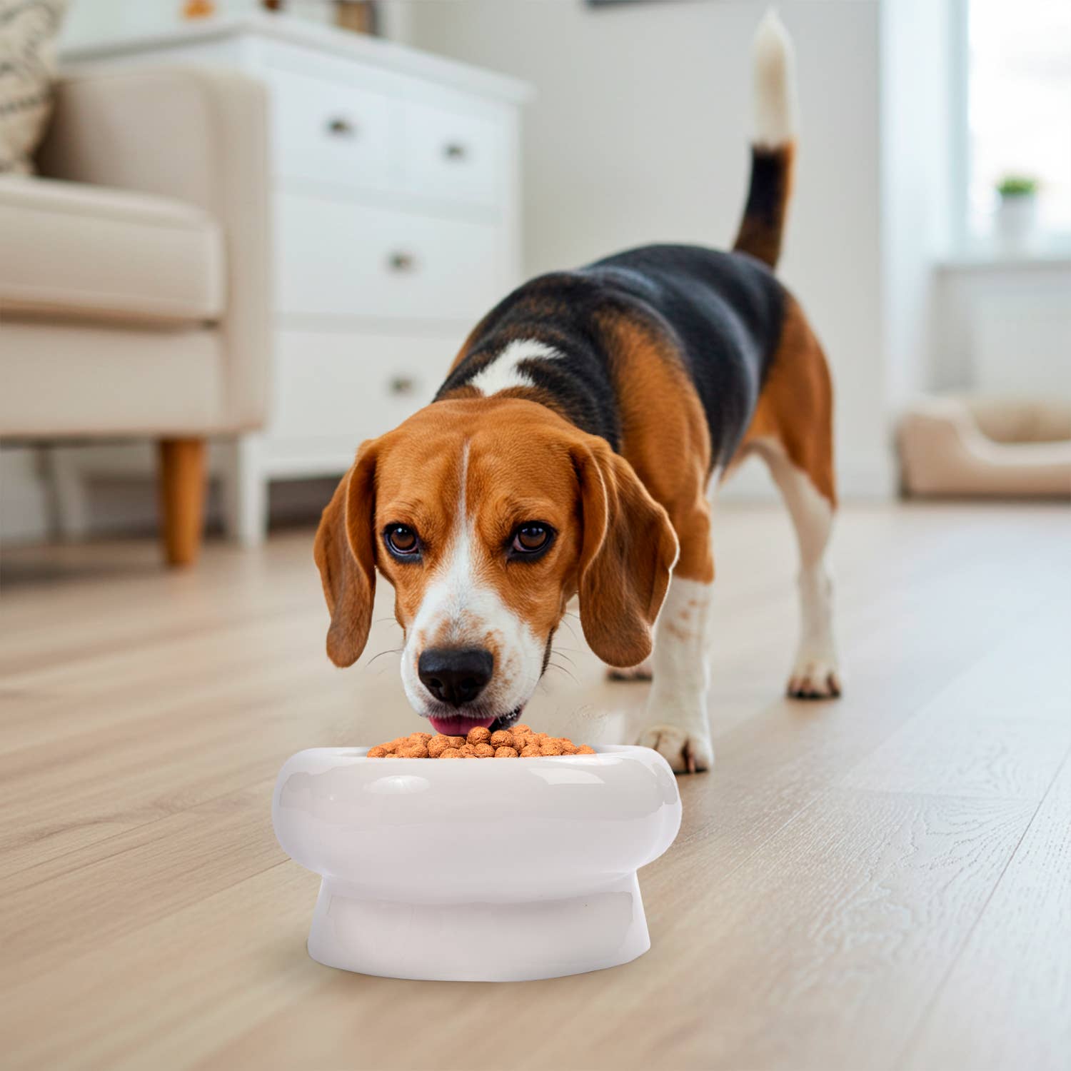 Precious Tails - Wholesale Pet Bowl - Cat/Dog - Abstract bubble Shaped Stoneware Elevated Pet Bowl5