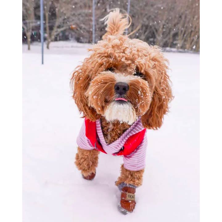 DJANGO - Wholesale Pet coat – Dog - Reversible Puffer Dog Coat - Lava Red4