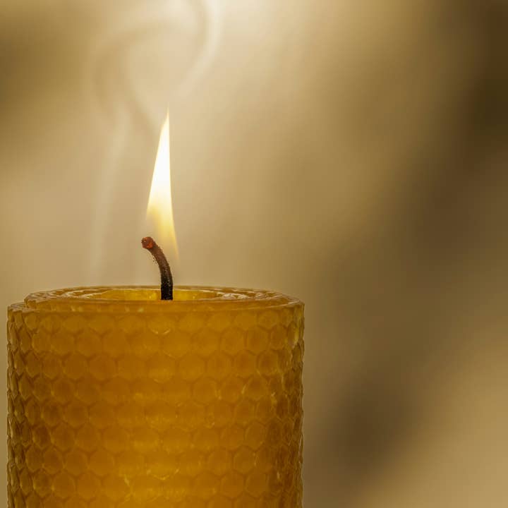 La Manufacture du Miel - Wholesale Novelty Candle - Noon "70H" - Beeswax candle (approximately 300g)5