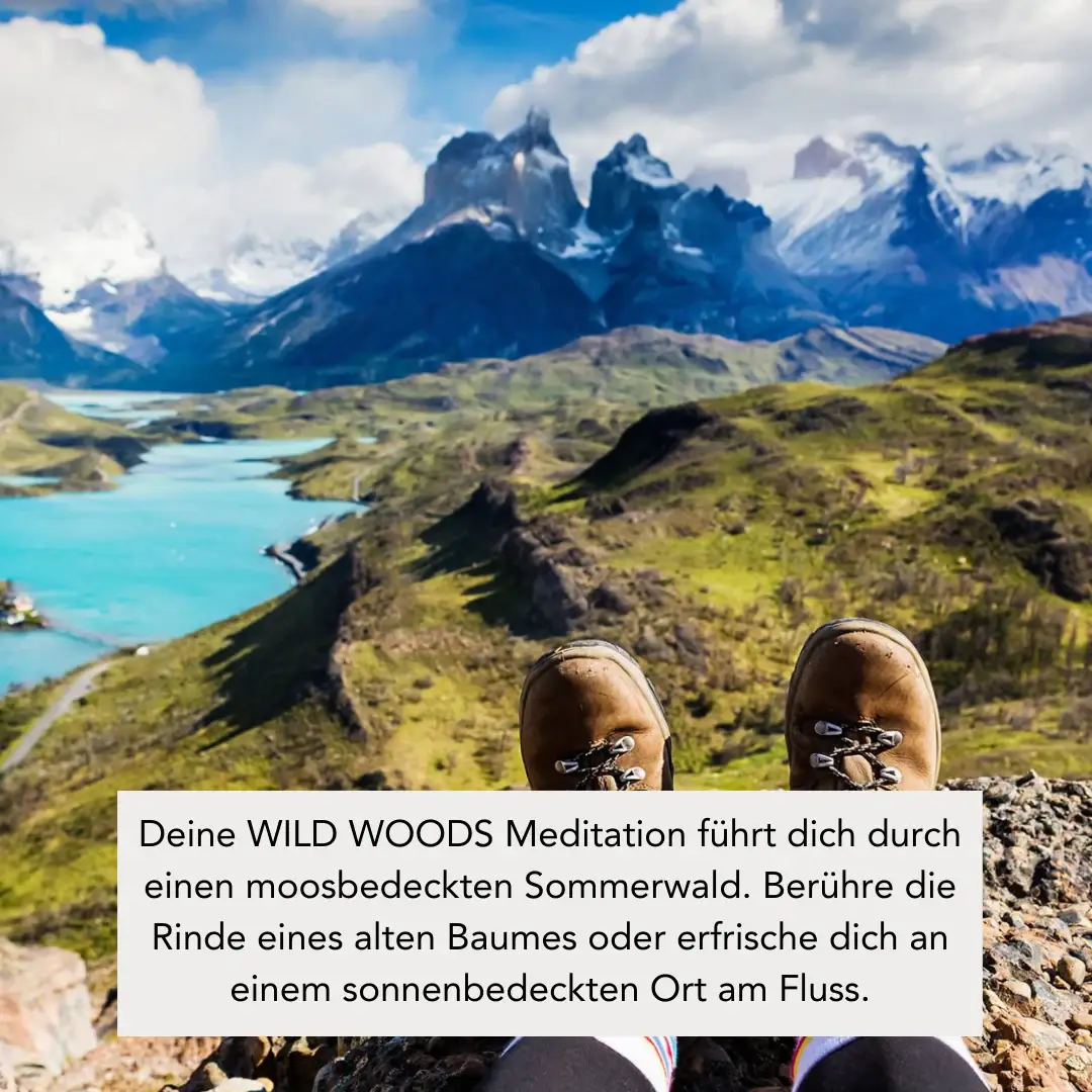 SCENTORIE. - Wholesale Reiskaarsen - WILD WOODS Geurkaars van koolzaadwas 110 g / 20 uur met houten lont2