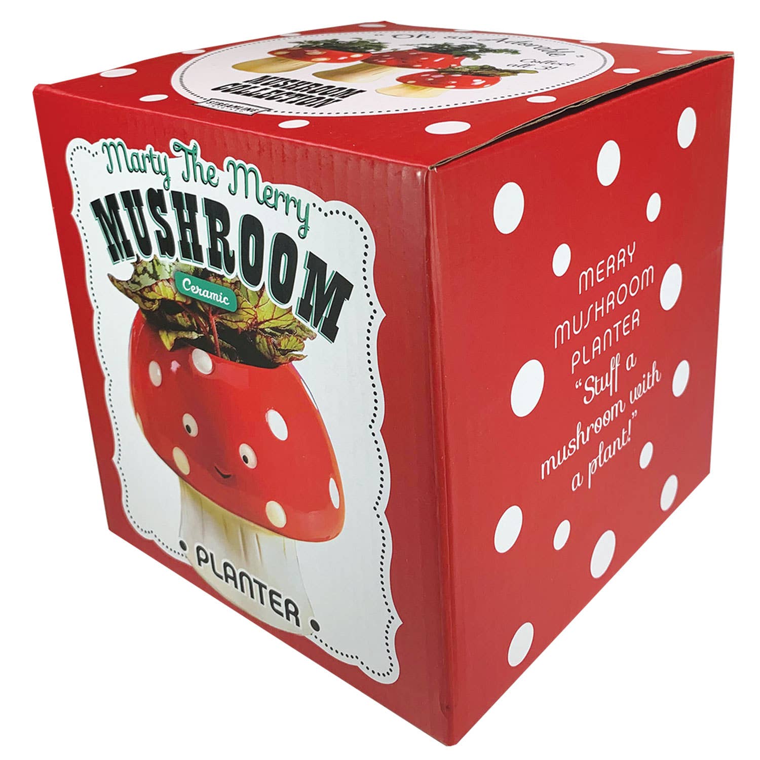 Streamline - Venta al por mayor Macetas - Kawaii - Maceta (tamaño pequeño)2