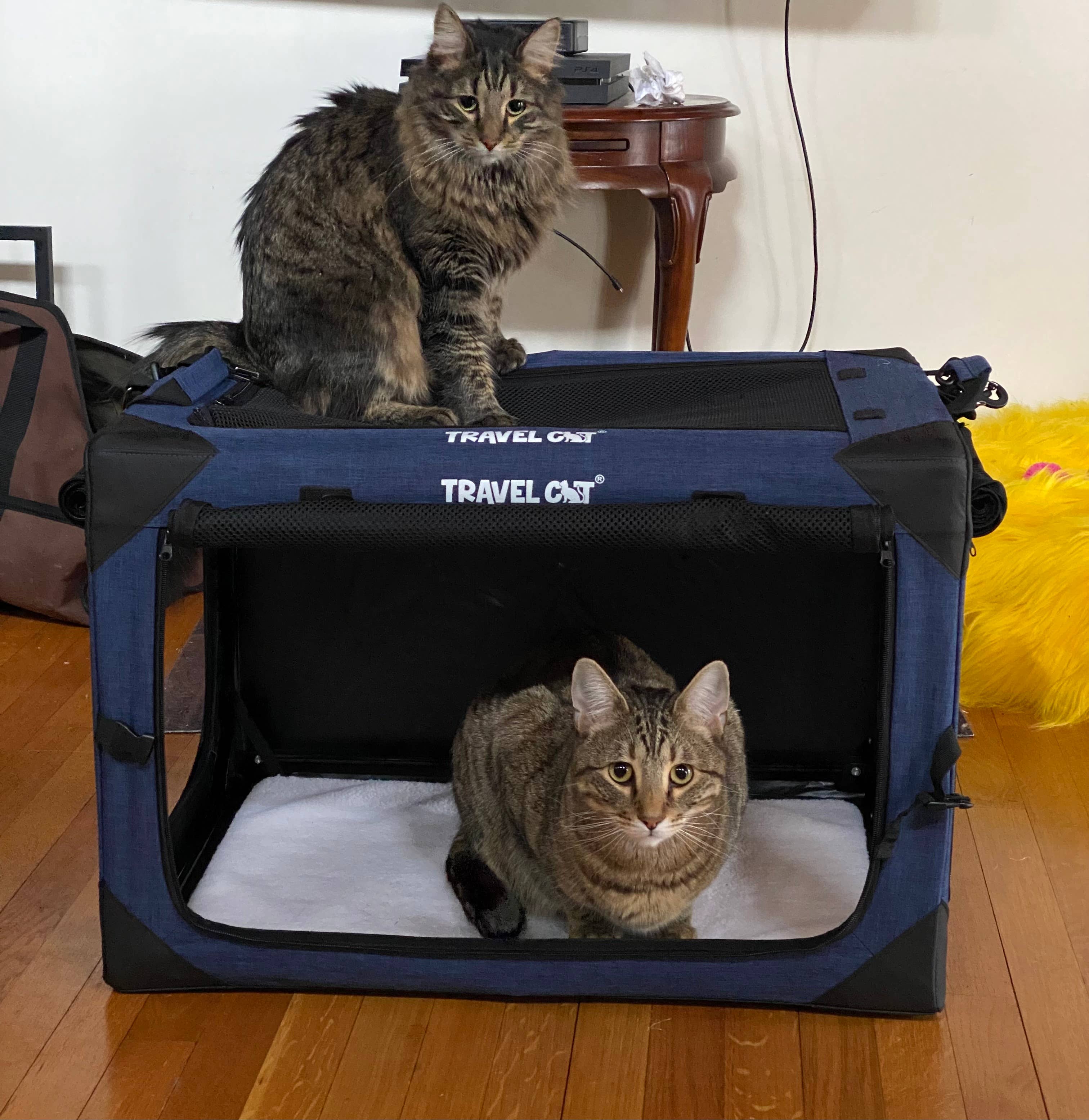 Travel Cat Wholesale - Wholesale Pet Carrier - Cat - "The Boop Coop" Collapsible Travel Cat Crate & Carrier1