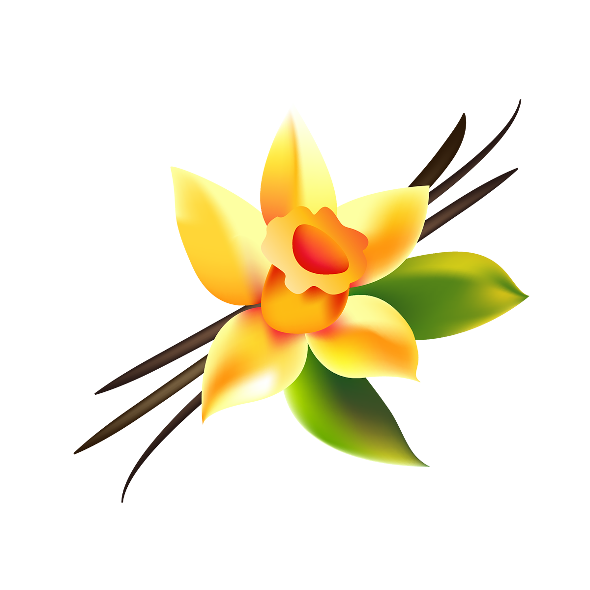 Mettalusso Inc - Wholesale Pet Cleaning Supplies - Mettalusso More Vegan Pet Cleansing Wipes7