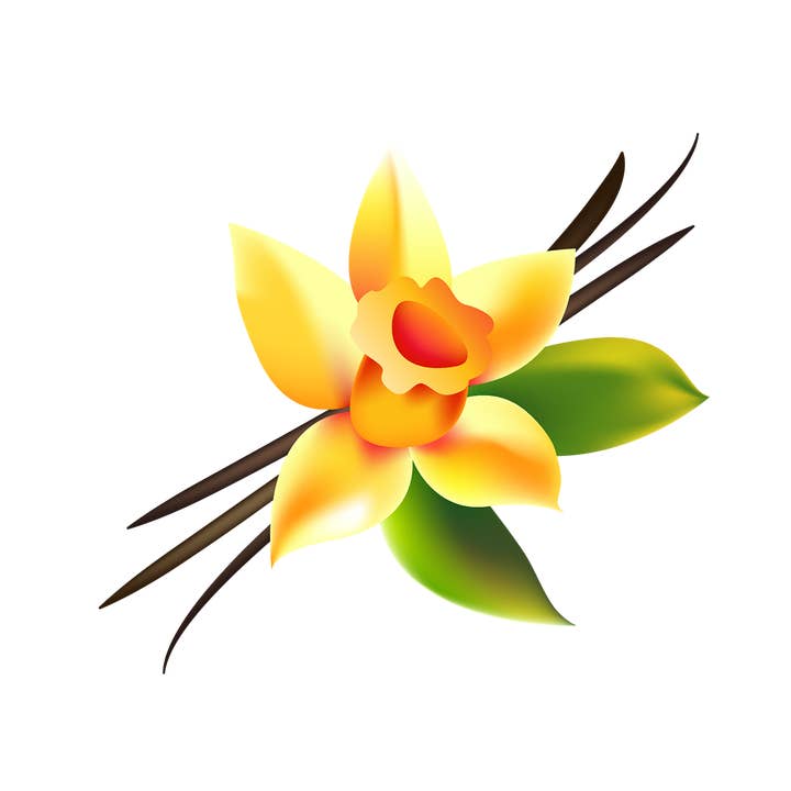 Mettalusso Inc - Wholesale Pet Cleaning Supplies - Mettalusso More Vegan Pet Cleansing Wipes7