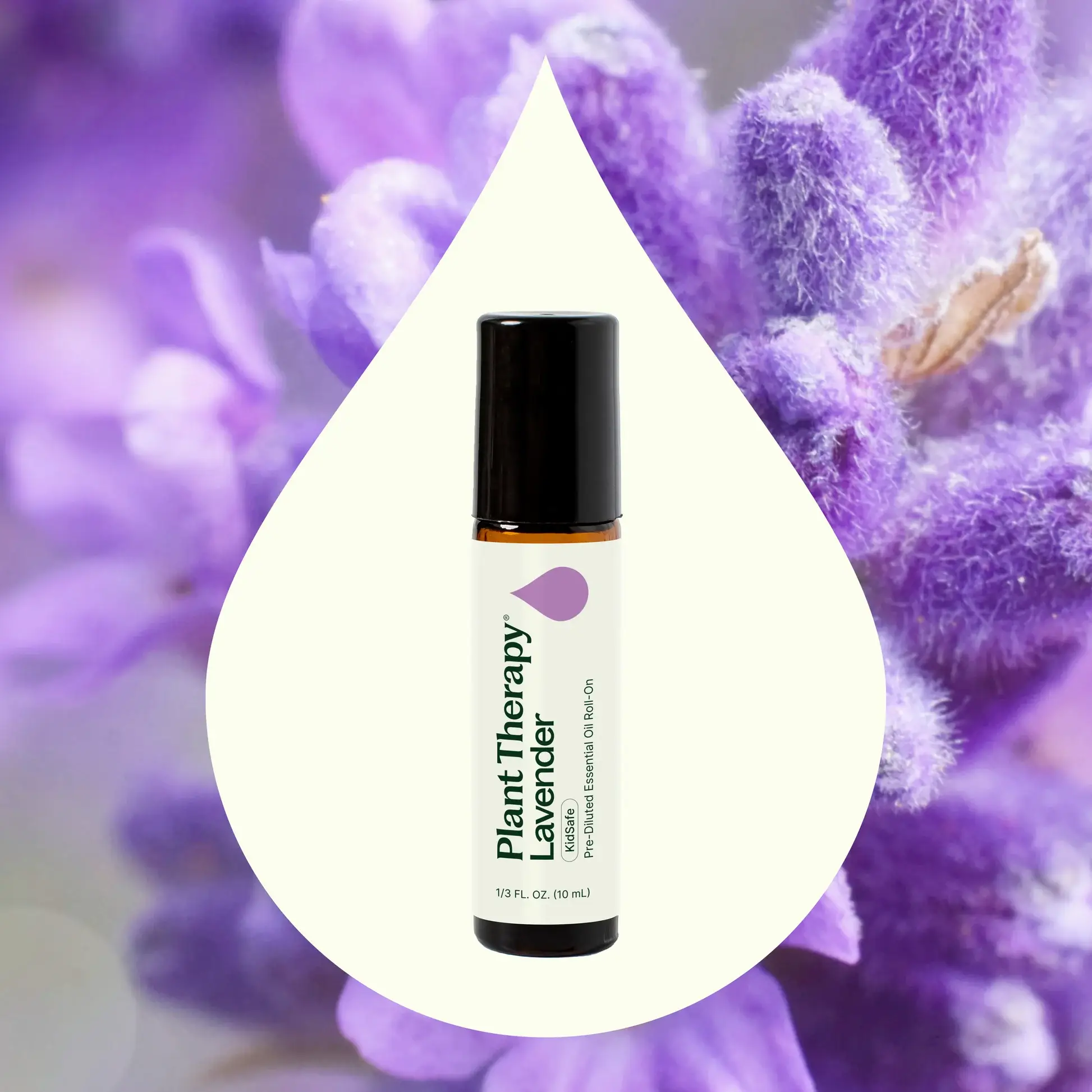Plant Therapy - Wholesale Essential Oil Roll-On - Organic Lavender Essential Oil Pre-Diluted Roll-On 10 mL3