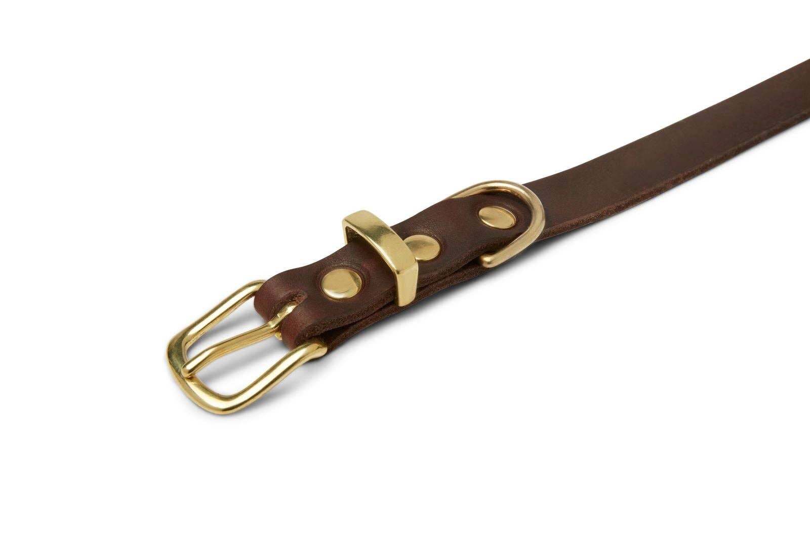 Molly and Stitch - Wholesale Pet Collar - Dog - Butter Leather Dog Collar - Classic Brown6