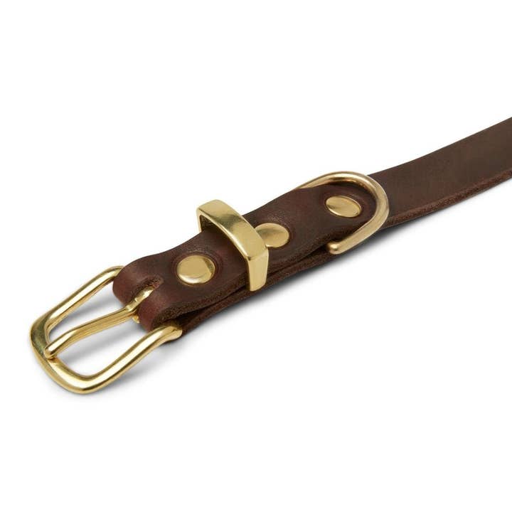 Molly and Stitch - Wholesale Pet Collar - Dog - Butter Leather Dog Collar - Classic Brown6