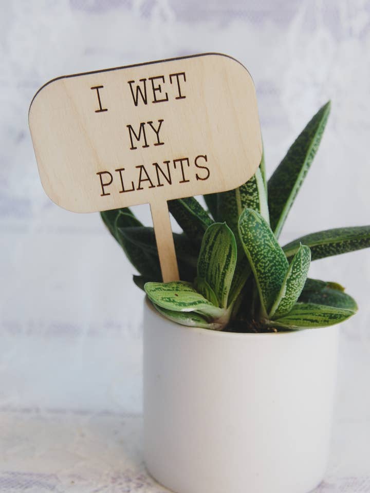 Funny Wood Plant Markers - I Wet My Plants - 5" for wholesale by KendollMade