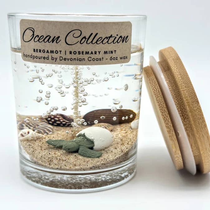 Devonian Coast - Wholesale Novelty Candle - Sea Turtle Hatchling Gel Candle – Medium 6oz Wax0