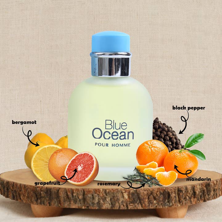MYS Wholesale Inc - Wholesale Perfume/Eau de Toilette - Blue Ocean Spray Cologne Eau de Toilette For Men1