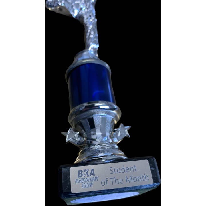 Olde Engraver - Wholesale Plaque - Personalised Trophy Engraving Plate 50mm x 15mm4