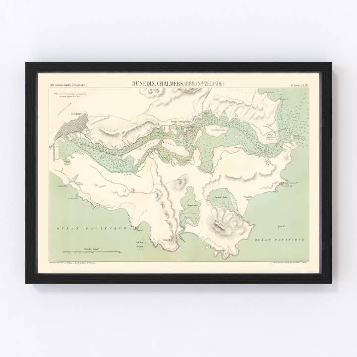 Vintage Map of Dunedin, New Zealand 1889 for wholesale by Ted's Vintage Art