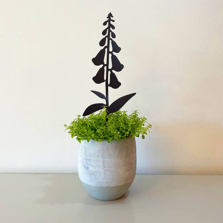 Gambi per vasi - Foxglove per la vendita all'ingrosso da parte di A Blackbird Sang