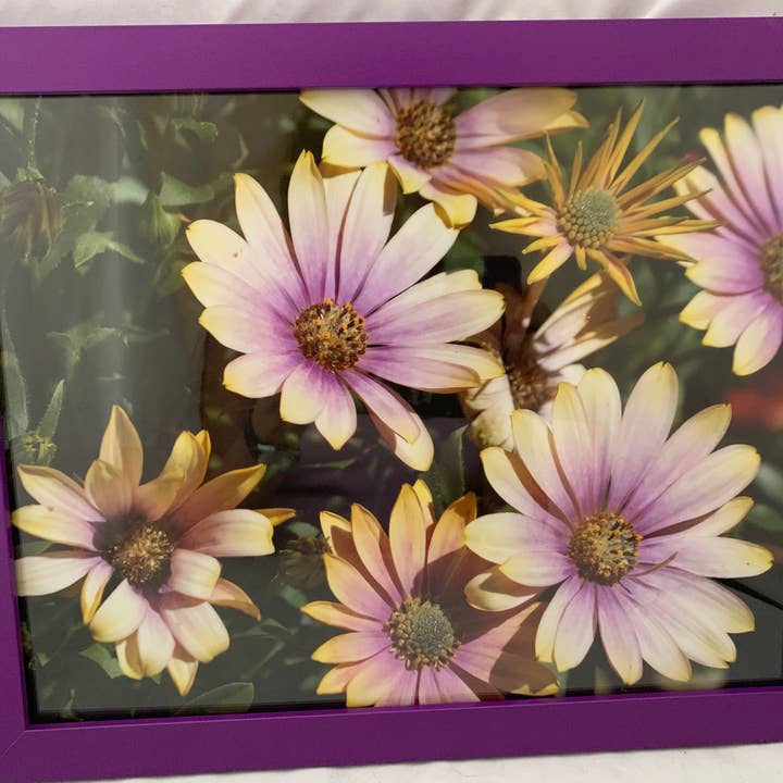 Sunset - violet framed wall print for wholesale by Analogy Designs