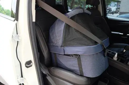 Ibiyaya - Wholesale Pet Carrier - Cat/Dog - CLEO Travel System Pet Stroller Medium Luxury Pram10