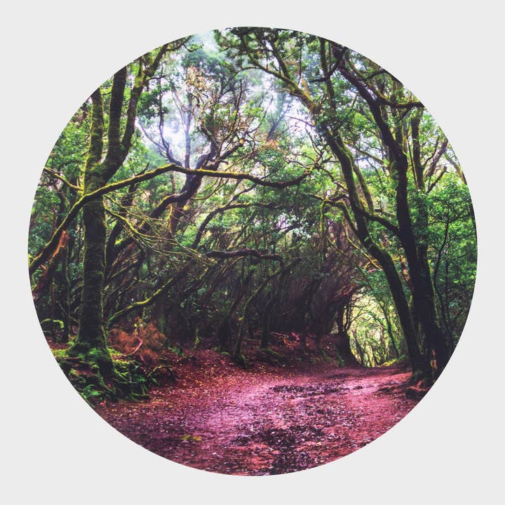 Forest Discovery Play Mat - Sensory - Water Play for wholesale by Commotion