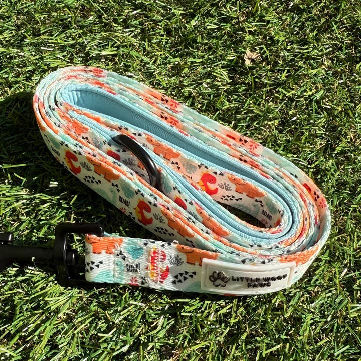 Hundkoppel dinosaurier - Ryt! för wholesale av Littlewoofpaws