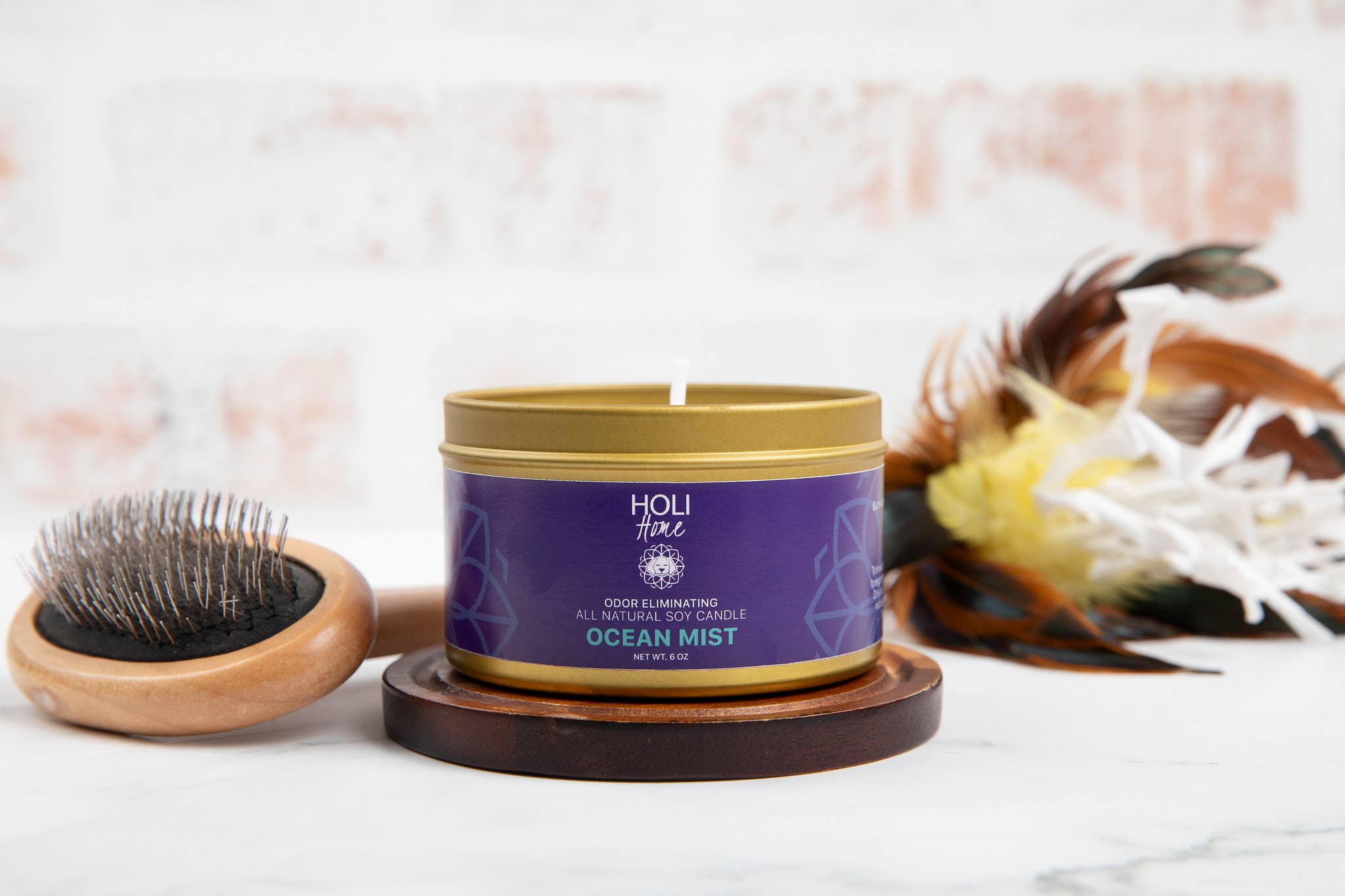 HOLI - Wholesale Jar/Filled Candle - HOLI - All Natural Soy Wax - Pet Odor Eliminator Candle2