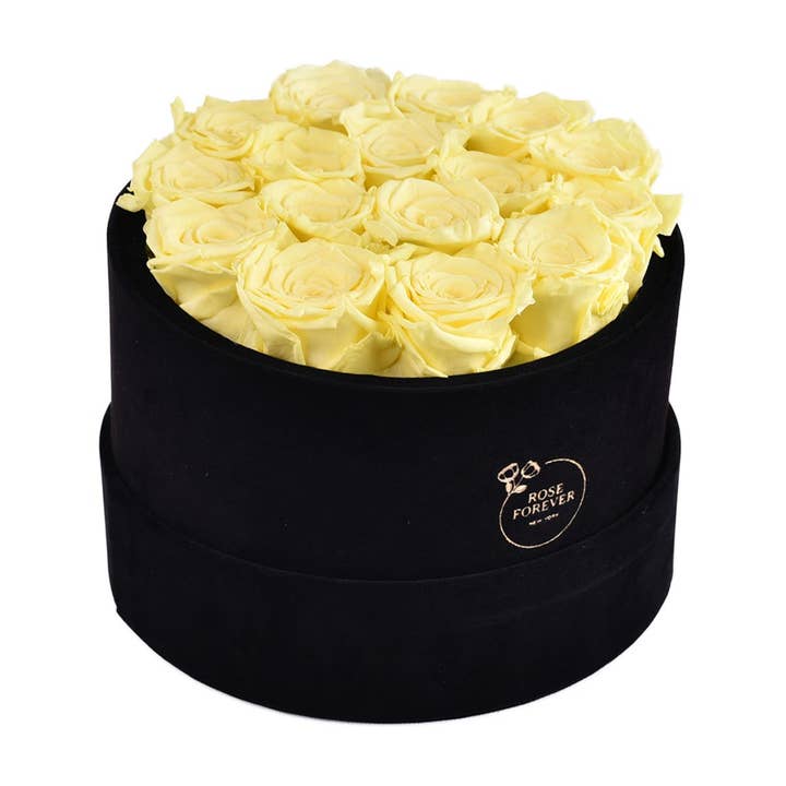 16 Yellow Roses Black Velvet Eternity Roses Box for wholesale by Rose Forever