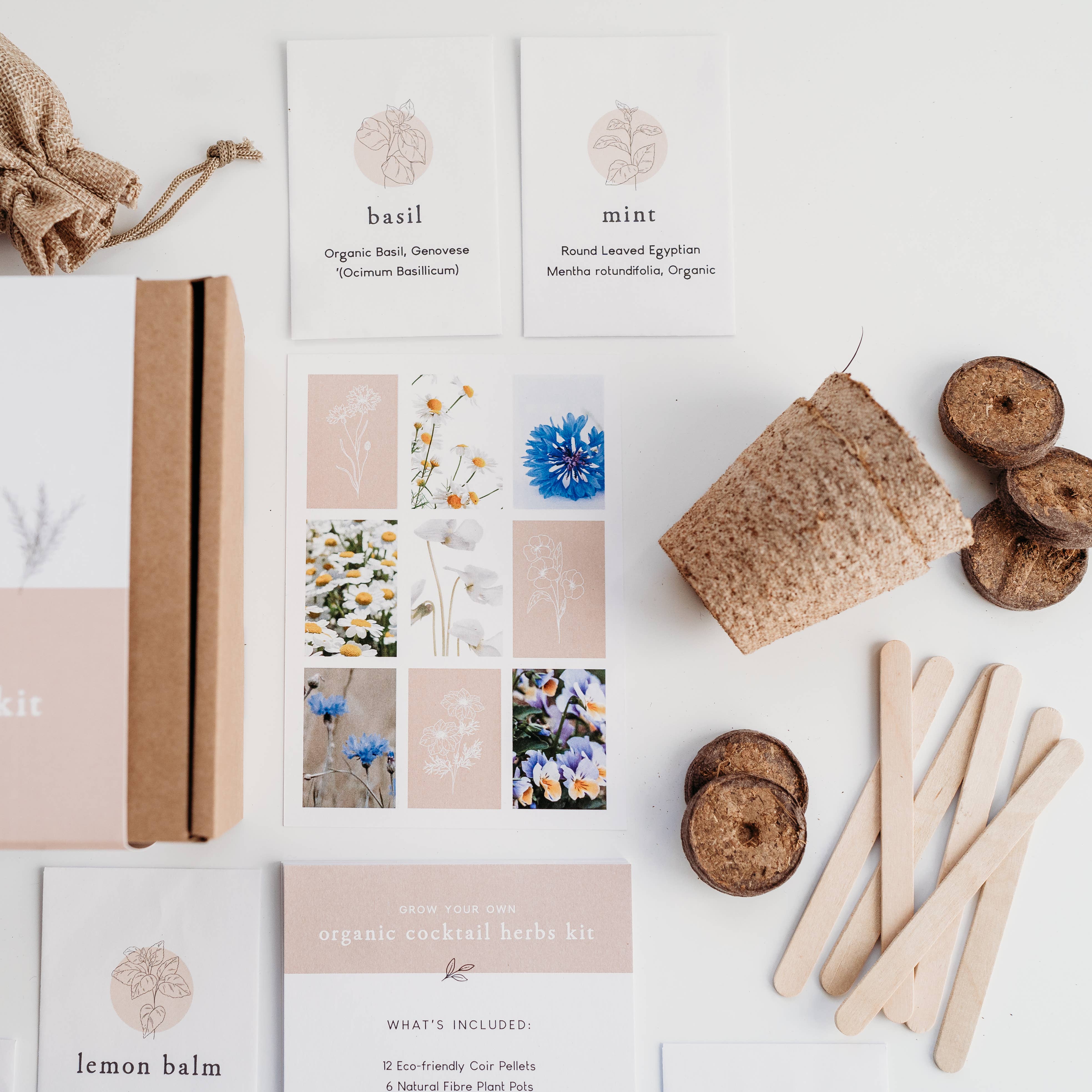 The Little Allotment Company – wholesale Plant seeds – Grow Your Own Cocktail Herbs Kit6