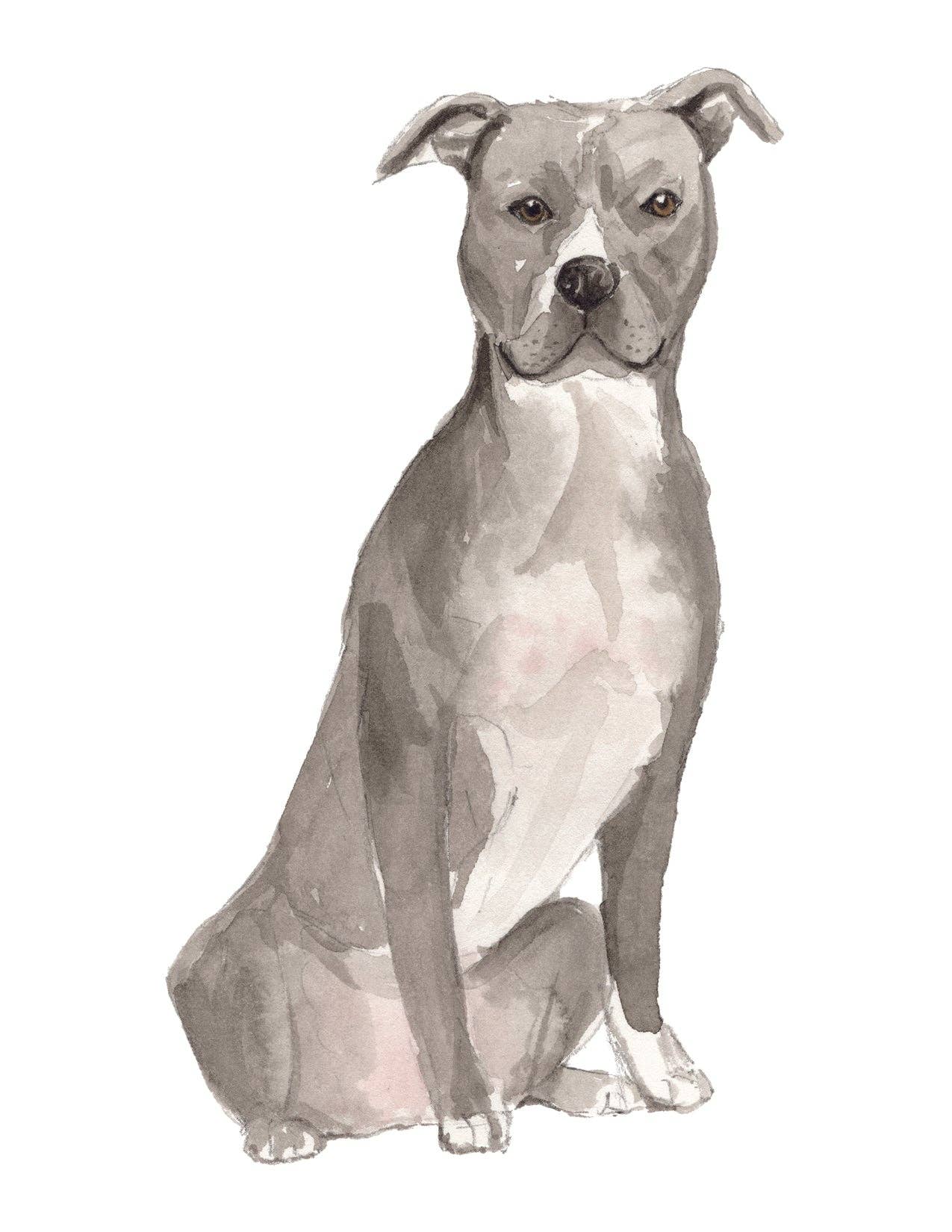 Bourbon & Bacon – Engroshandel Brevpapir/sæt med noteskort – Pitbullterrier-notekort0