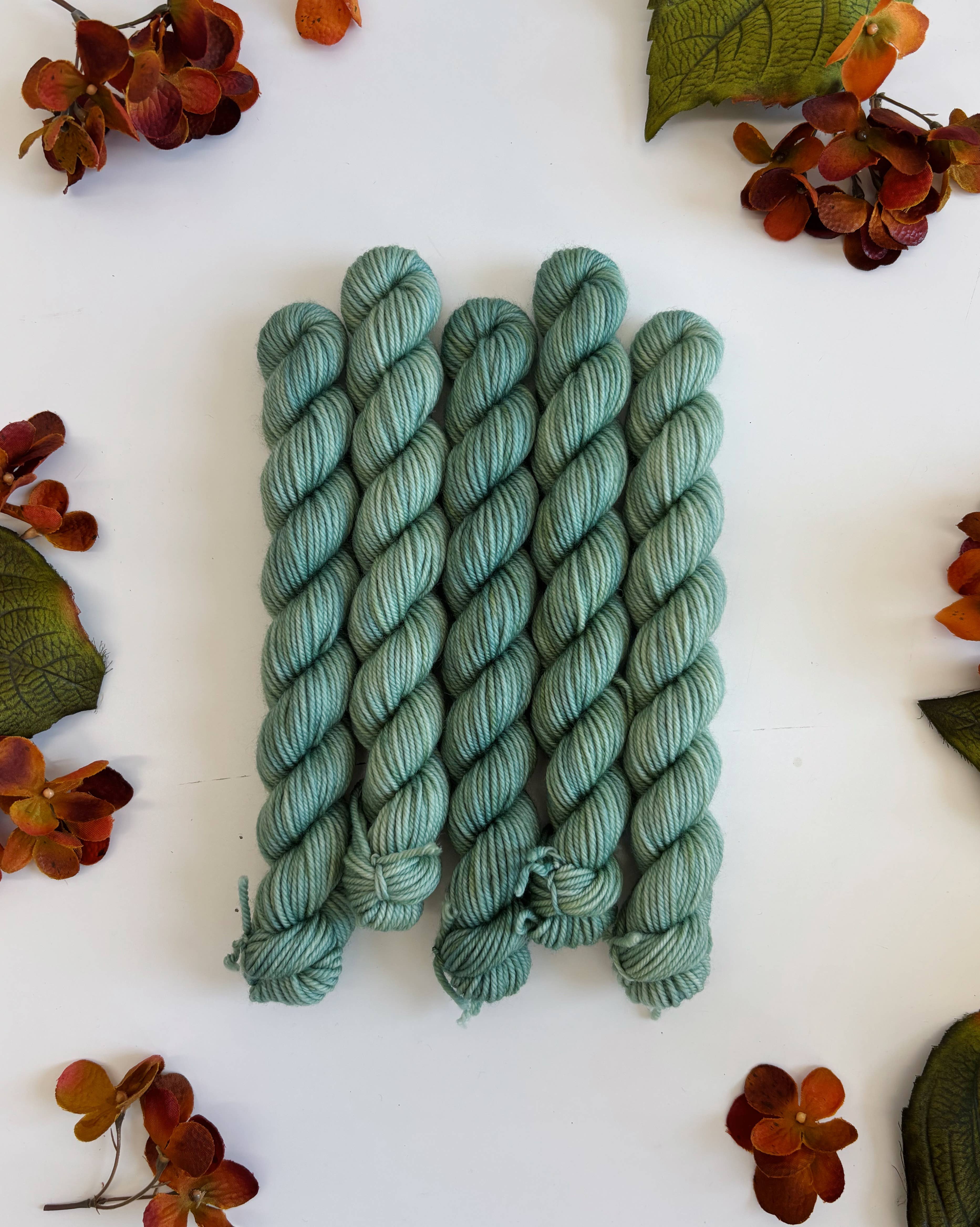 Coates & Co. - Vendita all'ingrosso Lana - Filato Cottage Sock • Mini matassina da 20 g11