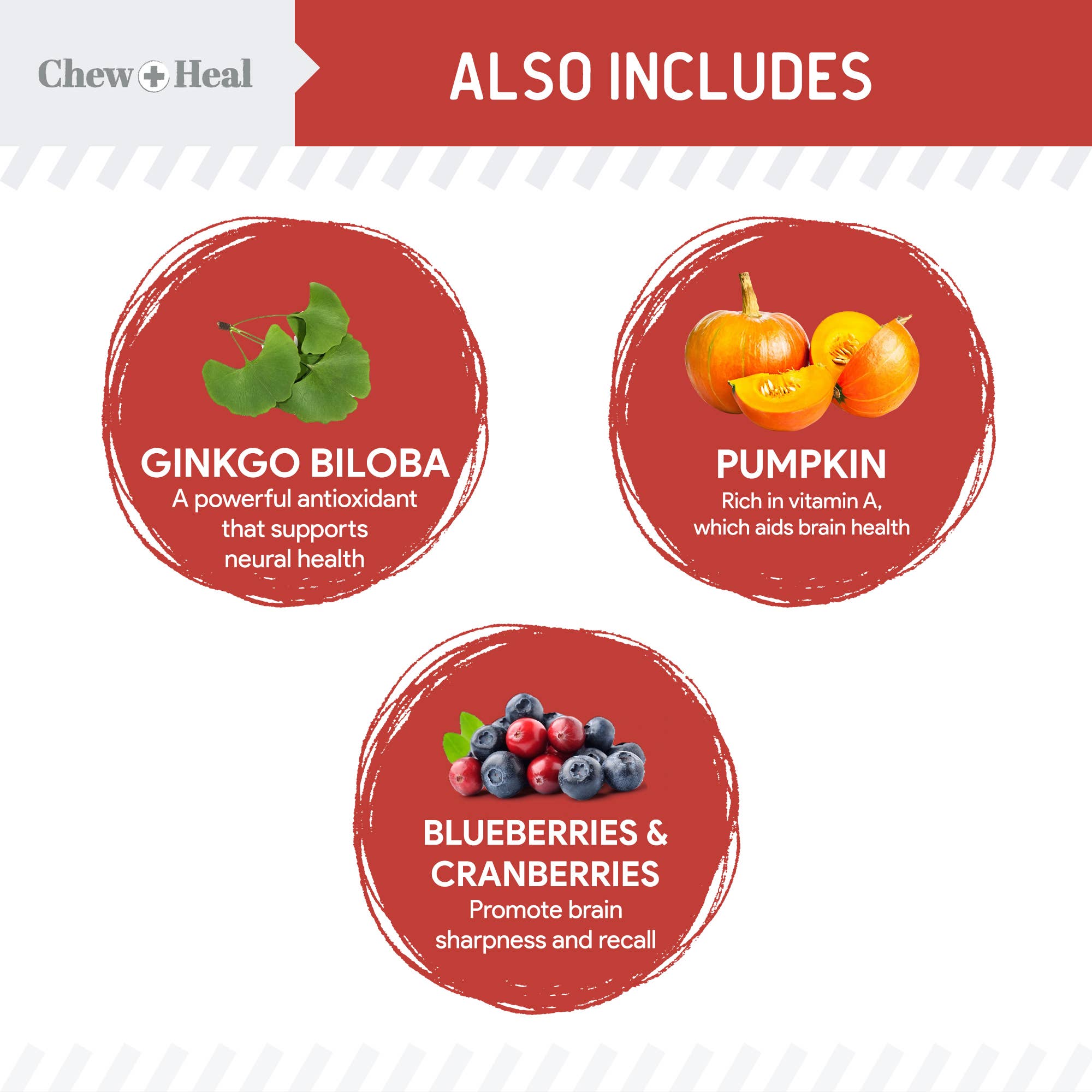 Chew + Heal - Vente Friandises – chien - Friandises pour chiens à ingrédients limités au saumon sauvage d'Alaska Focus4