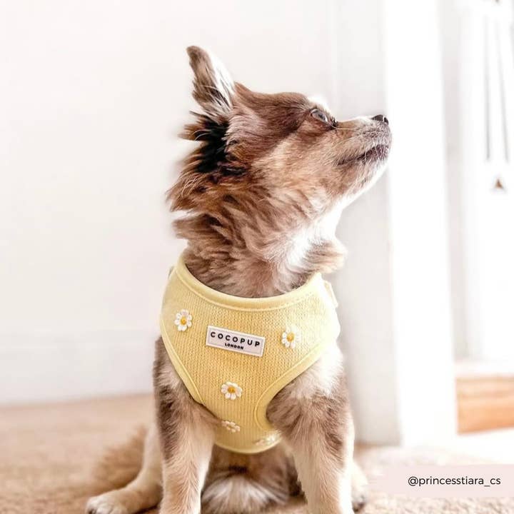 Cocopup London - Wholesale Pet Harness - Dog - Buttercup Pup Adjustable Neck HARNESS33